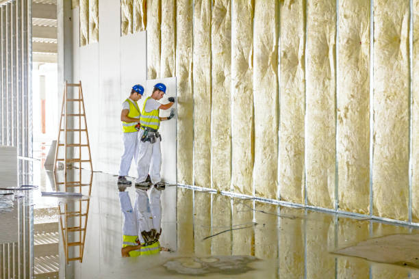 Best Insulation Maintenance and Repair in Lden, MA